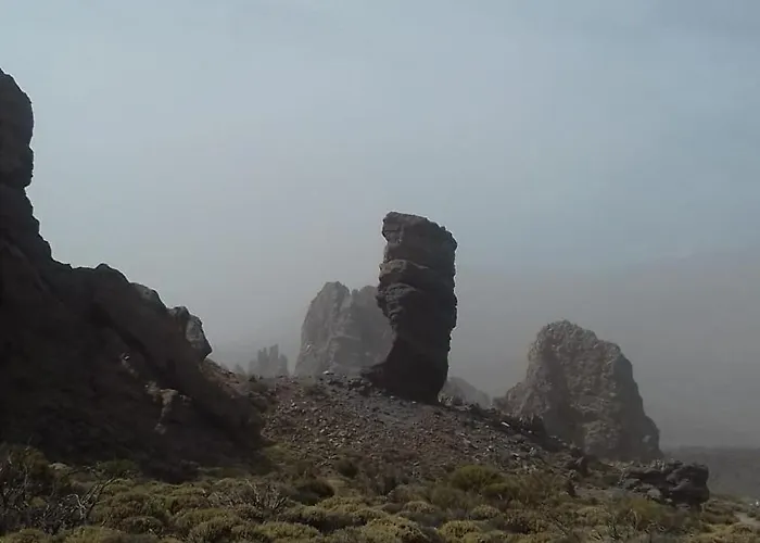 Casa Ruth Centro Orotava Lejlighed *